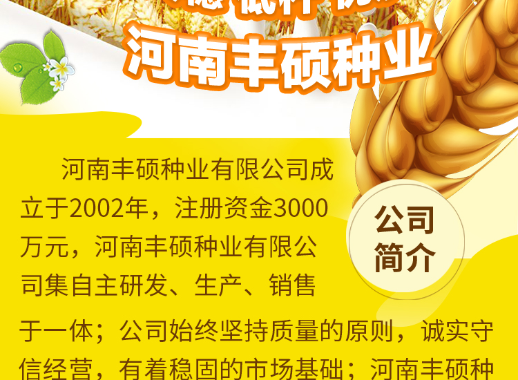 河南丰硕种业有限公司_02.jpg