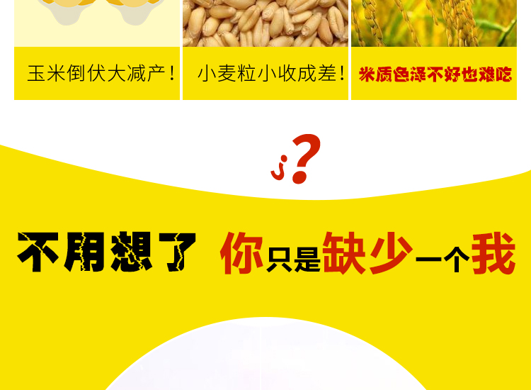 河南丰硕种业有限公司_05.jpg