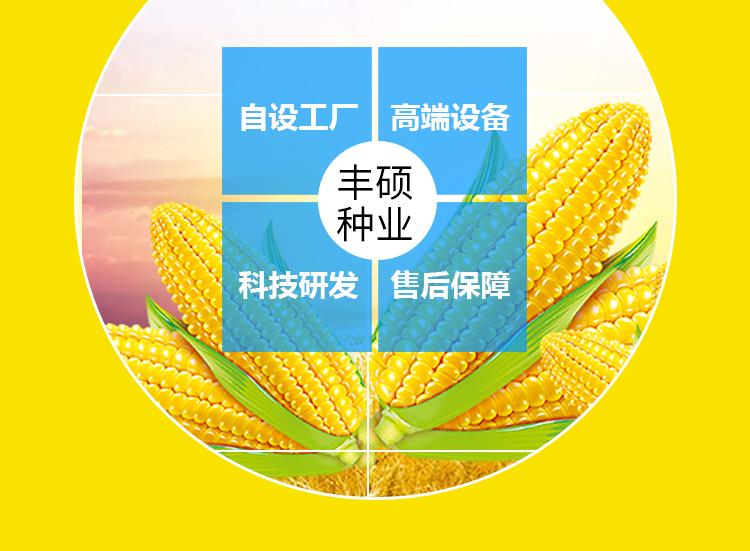 河南丰硕种业有限公司_06.jpg