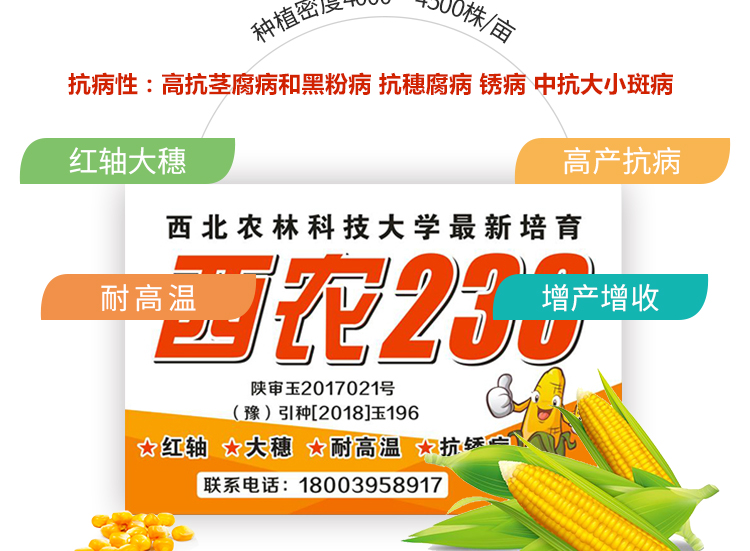 河南丰硕种业有限公司_08.jpg