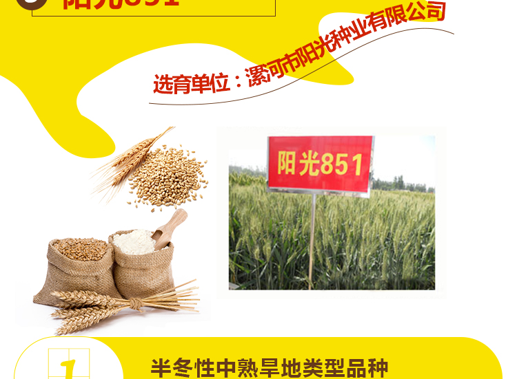 河南丰硕种业有限公司_12.jpg