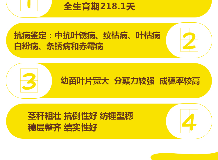 河南丰硕种业有限公司_13.jpg