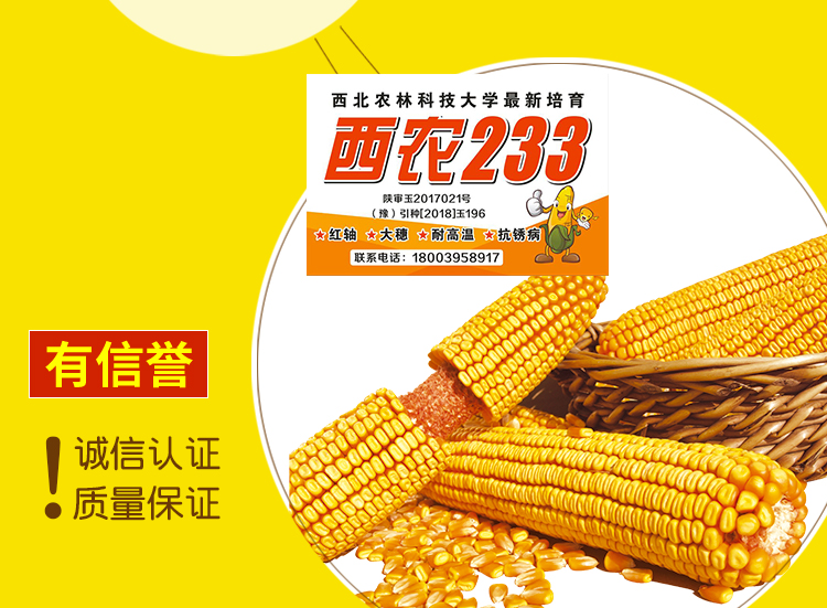 河南丰硕种业有限公司_15.jpg