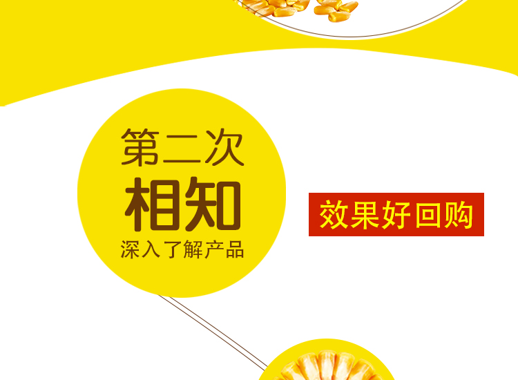河南丰硕种业有限公司_16.jpg
