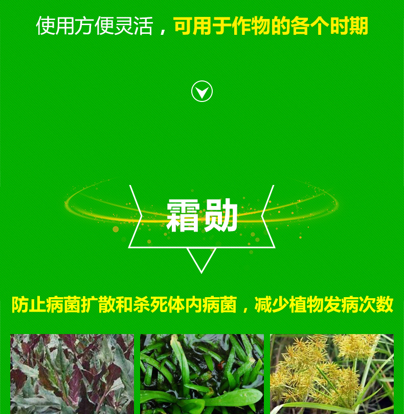 山东焱农生物科技股份有限公司_07.jpg