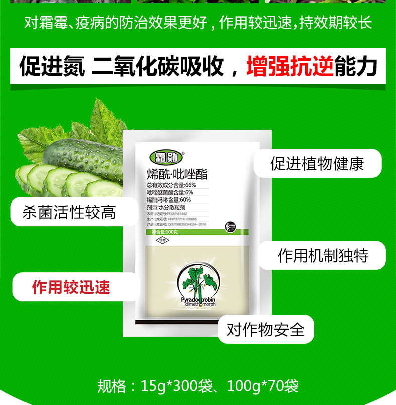 山东焱农生物科技股份有限公司_08.jpg