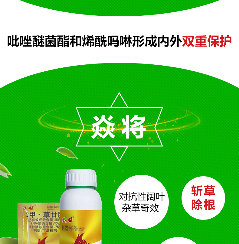 山东焱农生物科技股份有限公司_09.jpg