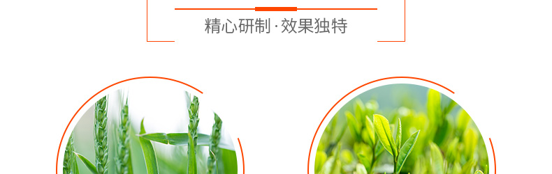 �ӱ���ũ����������޹�˾-ҳ��_08.jpg