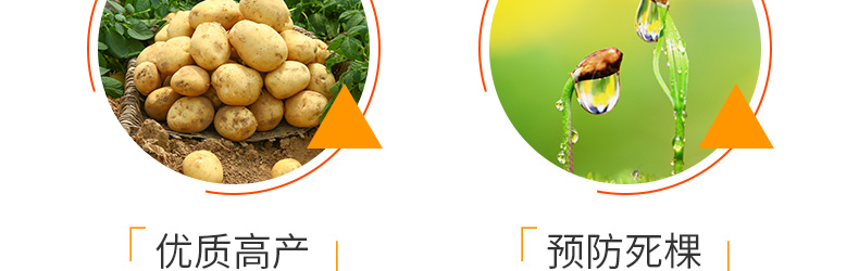 �ӱ���ũ����������޹�˾-ҳ��_12.jpg