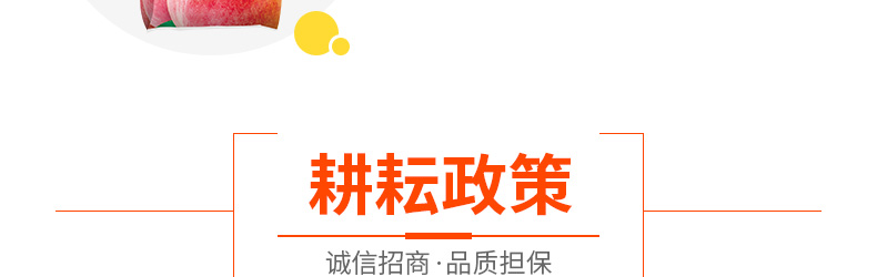 �ӱ���ũ����������޹�˾-ҳ��_26.jpg