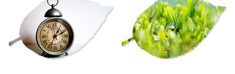 河南农联生物科技有限公司-页面_10.jpg