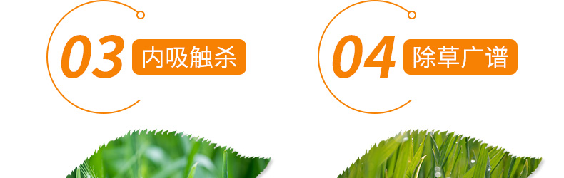 河南农联生物科技有限公司-页面_11.jpg