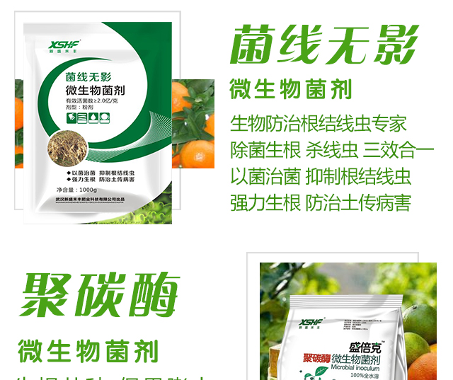 武汉新盛禾丰肥业科技有限公司_08.jpg