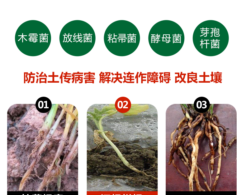 北京成捷绿星科技发展有限公司_10.jpg