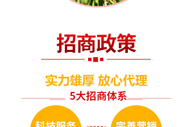 郑州绿色丰农生物科技有限公司_13.jpg