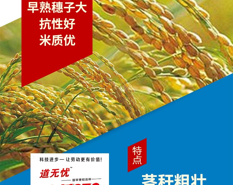 江苏三好种业科技有限公司_04.jpg