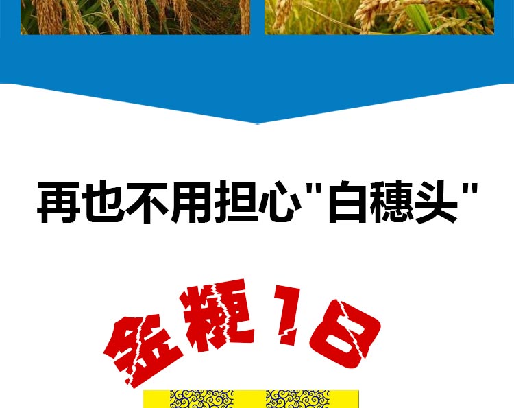 江苏三好种业科技有限公司_11.jpg