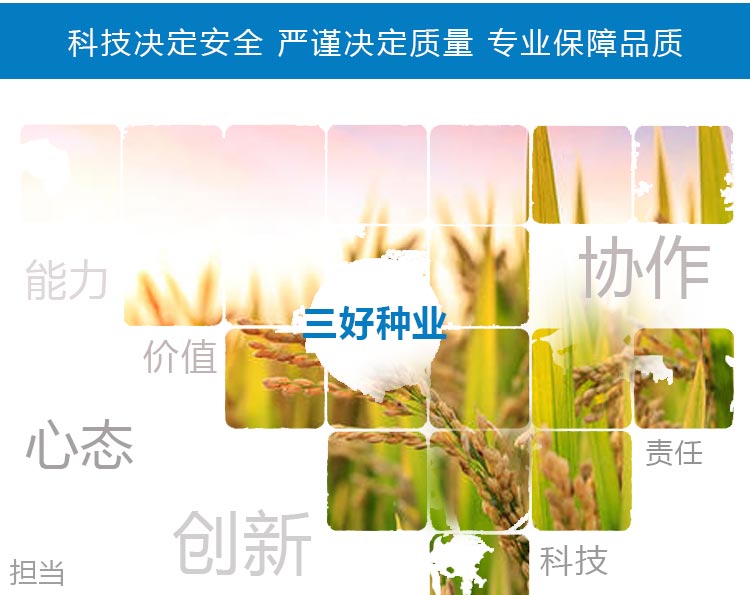 江苏三好种业科技有限公司_13.jpg