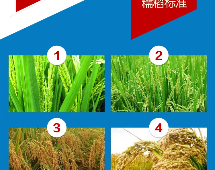 江苏三好种业科技有限公司_10.jpg