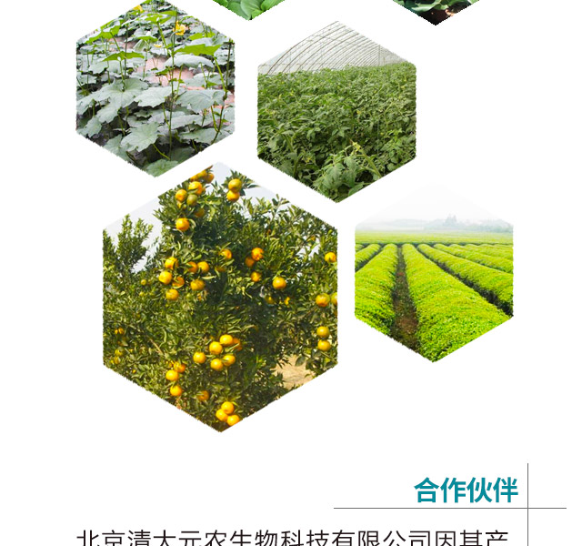 北京清大元农生物科技有限公司_06.jpg