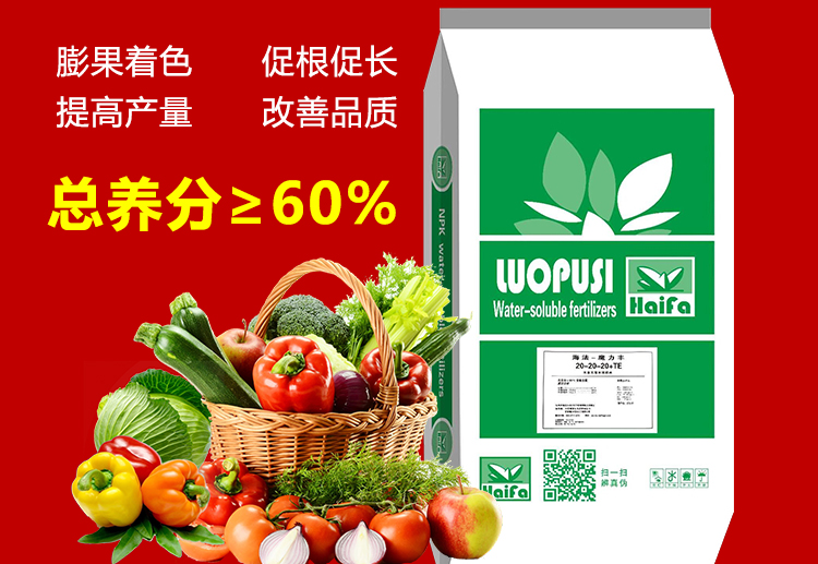 山东诺普斯化工有限公司_15.jpg