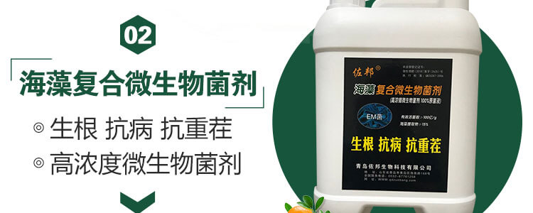 青岛佐邦生物科技有限公司_22.jpg
