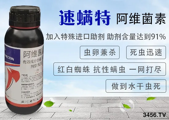 �캵���棬�������ӣ������Ѽ�ɱ��10���ӣ����֩�룡