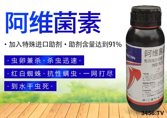 �캵���棬�������ӣ������Ѽ�ɱ��10���ӣ����֩�룡