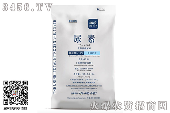 �����г�С������Ϊ����2020-6-11���ؼ۸����鱨��