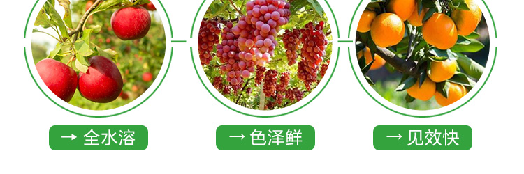 河北铭川大地农业科技有限公司_21.jpg
