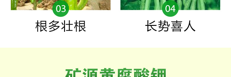 河北铭川大地农业科技有限公司_38.jpg