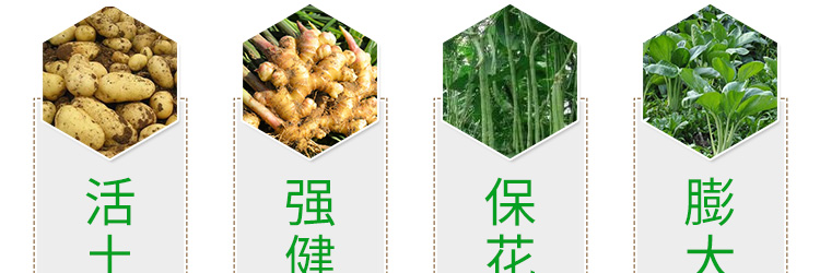 河北铭川大地农业科技有限公司_42.jpg