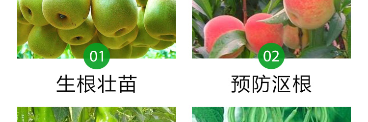 河北铭川大地农业科技有限公司_53.jpg