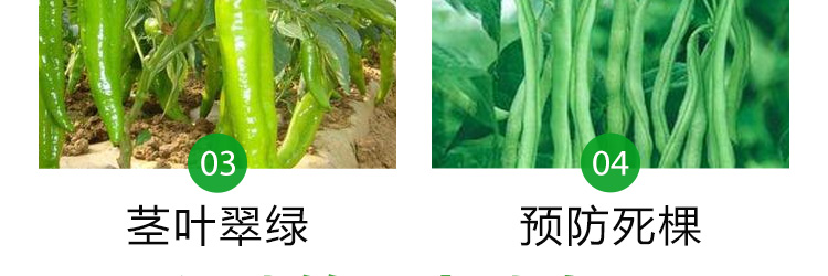 河北铭川大地农业科技有限公司_54.jpg