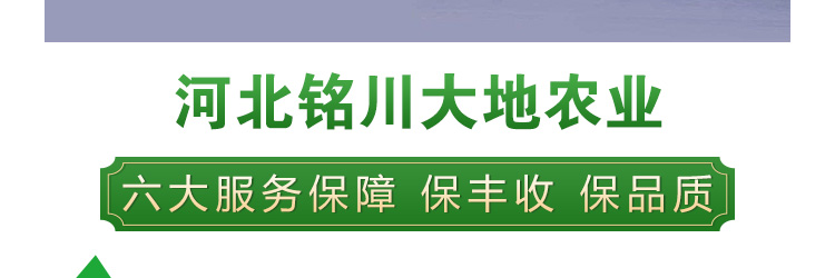 河北铭川大地农业科技有限公司_57.jpg