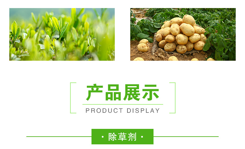 布谷农业-页面_07.jpg