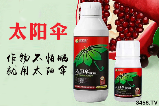 高温作物怕晒?用了太阳伞!就作物是不怕晒! 高温作物怕晒?用了太阳伞!就作物是不怕晒!