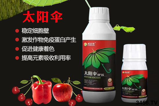 高温作物怕晒?用了太阳伞!就作物是不怕晒! 高温作物怕晒?用了太阳伞!就作物是不怕晒!