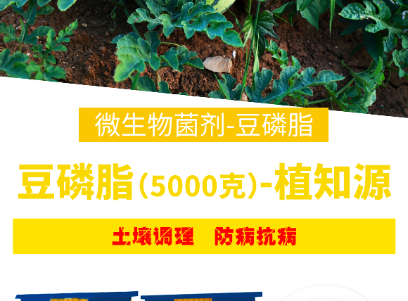 璞嗙7鑴傦紙5000鍏嬶級-妞嶇煡婧恄08.png 璞嗙7鑴傦紙5000鍏嬶級-妞嶇煡婧恄08.png