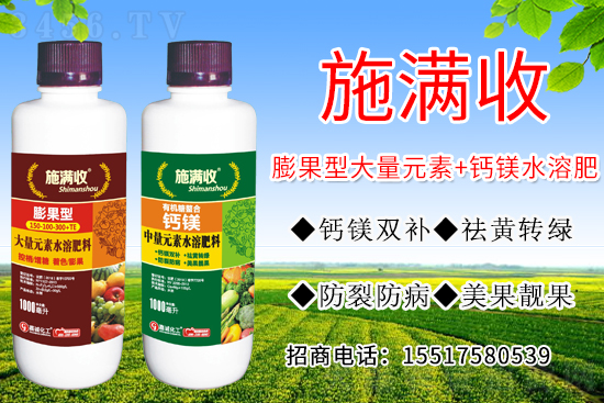 补钙不补镁,补了也后悔!如何同时补充作物钙镁? 补钙不补镁,补了也后悔!如何同时补充作物钙镁?