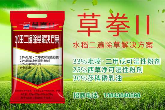 为什么水稻除草效果不好?原因究竟在哪里? 为什么水稻除草效果不好?原因究竟在哪里?