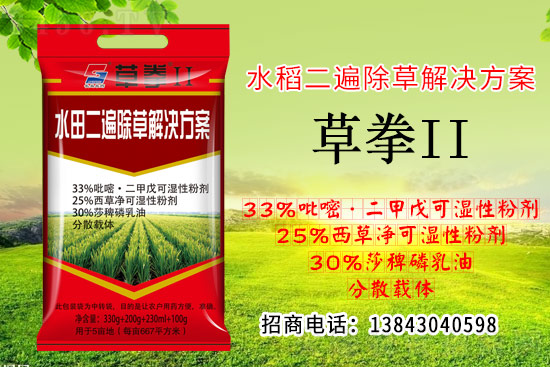 为什么水稻除草效果不好?原因究竟在哪里? 为什么水稻除草效果不好?原因究竟在哪里?