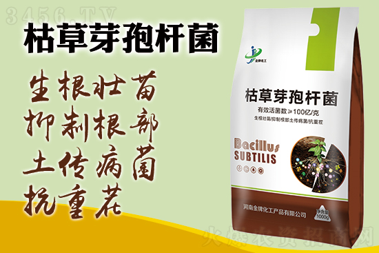 用量少,防效好!枯草芽孢杆菌究竟是什么,你了解吗? 用量少,防效好!枯草芽孢杆菌究竟是什么,你了解吗?