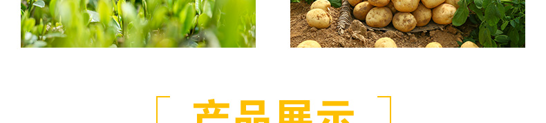 无棣县诺农农资批发_11.jpg