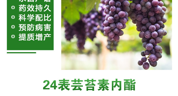 北京中植科华农业技术有限公司_08.jpg