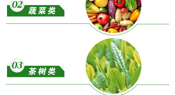 北京中植科华农业技术有限公司_15.jpg