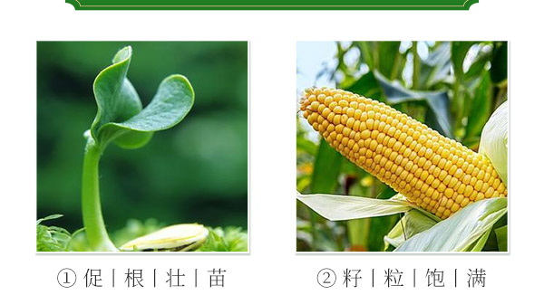 北京中植科华农业技术有限公司_19.jpg
