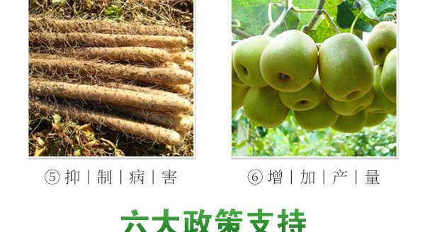 北京中植科华农业技术有限公司_21.jpg