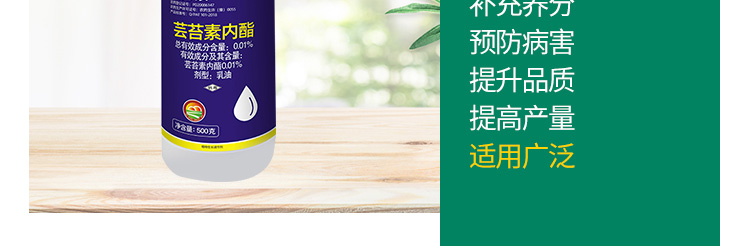 广州芭农生物科技有限公司_10.jpg