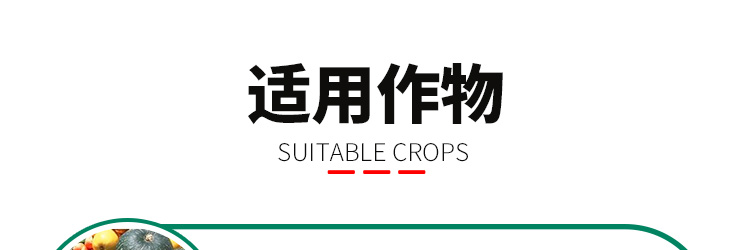 广州芭农生物科技有限公司_13.jpg